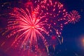 Fireworks on the background of the cloudy night sky. 4th of July - American Independence Day USA