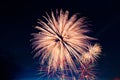 Fireworks on the background of the cloudy night sky. 4th of July - American Independence Day USA Royalty Free Stock Photo