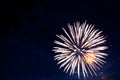 Fireworks on the background of the cloudy night sky. 4th of July - American Independence Day USA Royalty Free Stock Photo