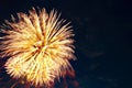 Fireworks on the background of the dark night sky. 4th July - American Independence Day Royalty Free Stock Photo