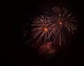 Fireworks background. Fireworks isolated Royalty Free Stock Photo