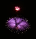 Fireworks background. Fireworks isolated. Holidays background. Fireworks - maltese cross. Malta firewroks festival