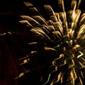 Fireworks on the Balcon de Europa in the Spanish resort of Nerja on the Costa del Sol Royalty Free Stock Photo