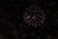 Fireworks on black background for celebration design. Abstract firework display background. Royalty Free Stock Photo