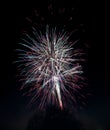 Fireworks blasts on black sky Royalty Free Stock Photo