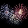 Fireworks blasts on black sky Royalty Free Stock Photo