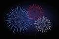 Fireworks blue red white colors Royalty Free Stock Photo