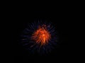 Fireworks of blue tipped orange colors on black sky Royalty Free Stock Photo