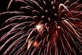 Fireworks burst Royalty Free Stock Photo