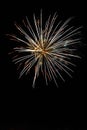 Fireworks burst in the night sky. Royalty Free Stock Photo