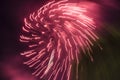 Fireworks burst in night sky Royalty Free Stock Photo