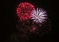 Fireworks firework display Royalty Free Stock Photo