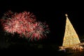 Fireworks and Christmas tree