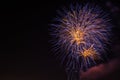 Fireworks on Clear Night Sky Royalty Free Stock Photo