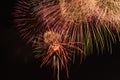 Fireworks Royalty Free Stock Photo