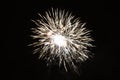Fireworks. Colorful celebration fireworks isolated on a black sky background. Burst Royalty Free Stock Photo