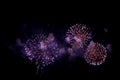 Fireworks Royalty Free Stock Photo