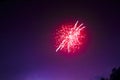 Fireworks with Copy Space stock photo Firework Explosive Material, Firework Display,