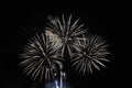 Fireworks with a dark black background, Bright beautiful colorful firework. Royalty Free Stock Photo