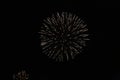 Fireworks in the dark night sky Royalty Free Stock Photo