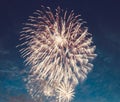 Fireworks display Royalty Free Stock Photo