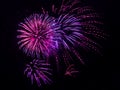 Fireworks display against a dark sky background. Royalty Free Stock Photo