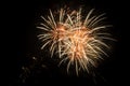 Fireworks display against a dark sky background. Royalty Free Stock Photo