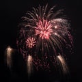 Fireworks display against a dark sky background. Royalty Free Stock Photo