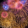 Fireworks display on dark sky background. Royalty Free Stock Photo