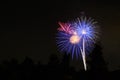Fireworks display on dark sky background Royalty Free Stock Photo
