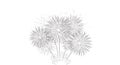 Fireworks Display Isolated on White Background Celebration Illustration Royalty Free Stock Photo