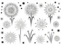Fireworks display isolated on white background Royalty Free Stock Photo