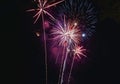 Fireworks explode in the dark sky celebrating the annual festival