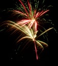 Fireworks exploding in the night sky. Public holiday. Vertical image. Celebrate holidays.