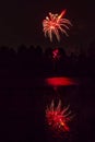 Fireworks exploding over woodland pond.