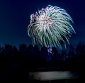 Fireworks exploding over woodland pond.