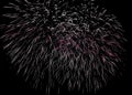 Fireworks explosion with many sparks Royalty Free Stock Photo