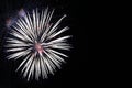 Fireworks, firework, background, new, celebration, holiday, year, event, festival, anniversary, fire, illustration, beautiful, yel