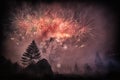 Fireworks in the forest