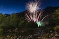 Fireworks in the forest in summer night Royalty Free Stock Photo