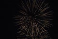 Fireworks light up the sky Royalty Free Stock Photo