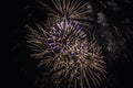 Fireworks light up the sky Royalty Free Stock Photo