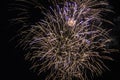 Fireworks light up the sky Royalty Free Stock Photo