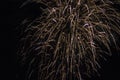 Fireworks light up the sky Royalty Free Stock Photo