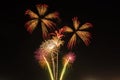 Fireworks Royalty Free Stock Photo