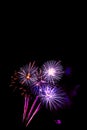 fireworks new year 2017 - beautiful colorful firework Royalty Free Stock Photo