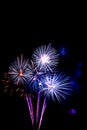 fireworks new year 2017 - beautiful colorful firework isolated Royalty Free Stock Photo