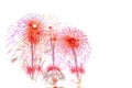 fireworks new year 2017 - beautiful colorful firework isolated Royalty Free Stock Photo