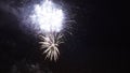 Fireworks on New Years Day on the background of the forest in the evening