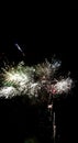 Fireworks night, explosion of colour